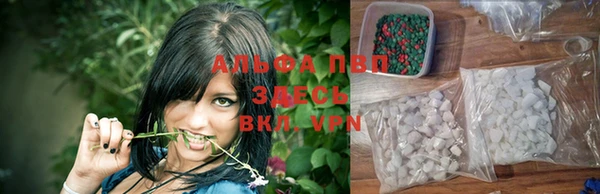 индика Беломорск