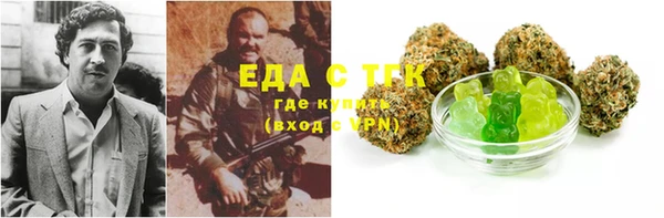 индика Беломорск