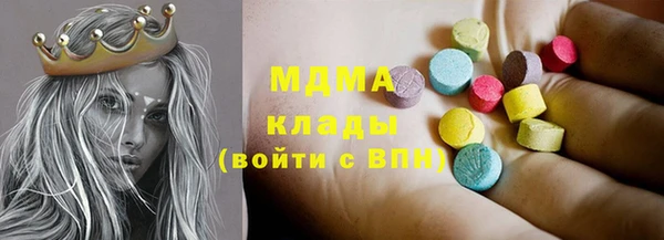 индика Беломорск