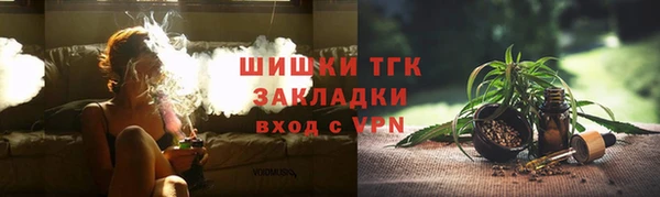 бошки Белокуриха