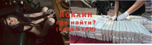 индика Беломорск