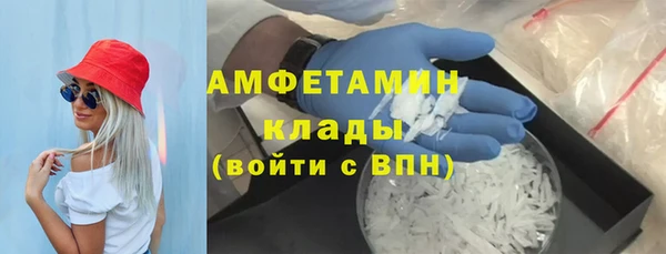 индика Беломорск