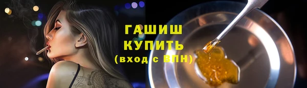 индика Беломорск