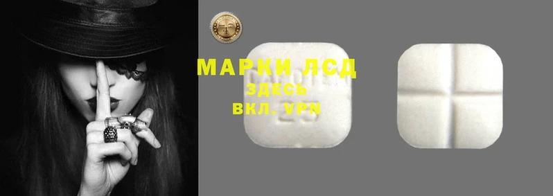 дмт Дмитров