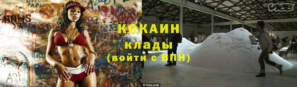индика Беломорск
