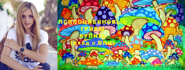 индика Беломорск