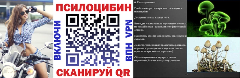 Галлюциногенные грибы Psilocybine cubensis  где купить   Облучье 